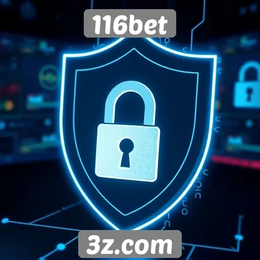 Avaliação da segurança e privacidade do site 116bet