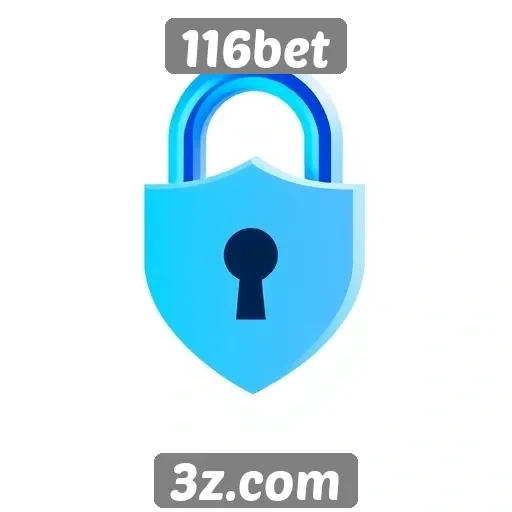 Alegações de segurança no site 116bet